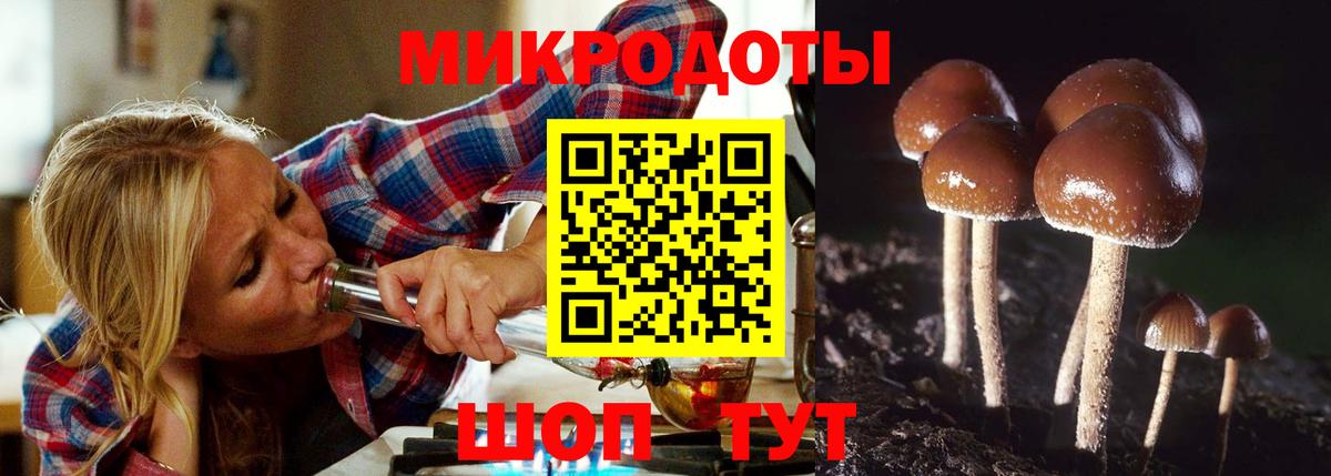 Псилоцибиновые грибы Psilocybe  Псилоцибиновые грибы мухоморы  Вход с VPN  Майкоп 