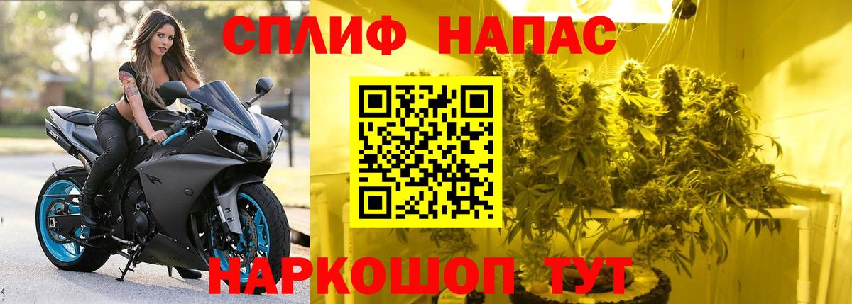Майкоп  Шишки марихуана White Widow  Каннабис семена  Каннабис White Widow  Вход с VPN  Шишки марихуана сатива 